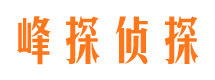 理塘市婚姻调查